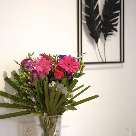 Apartamento Au Fil De L'eau - Cosy